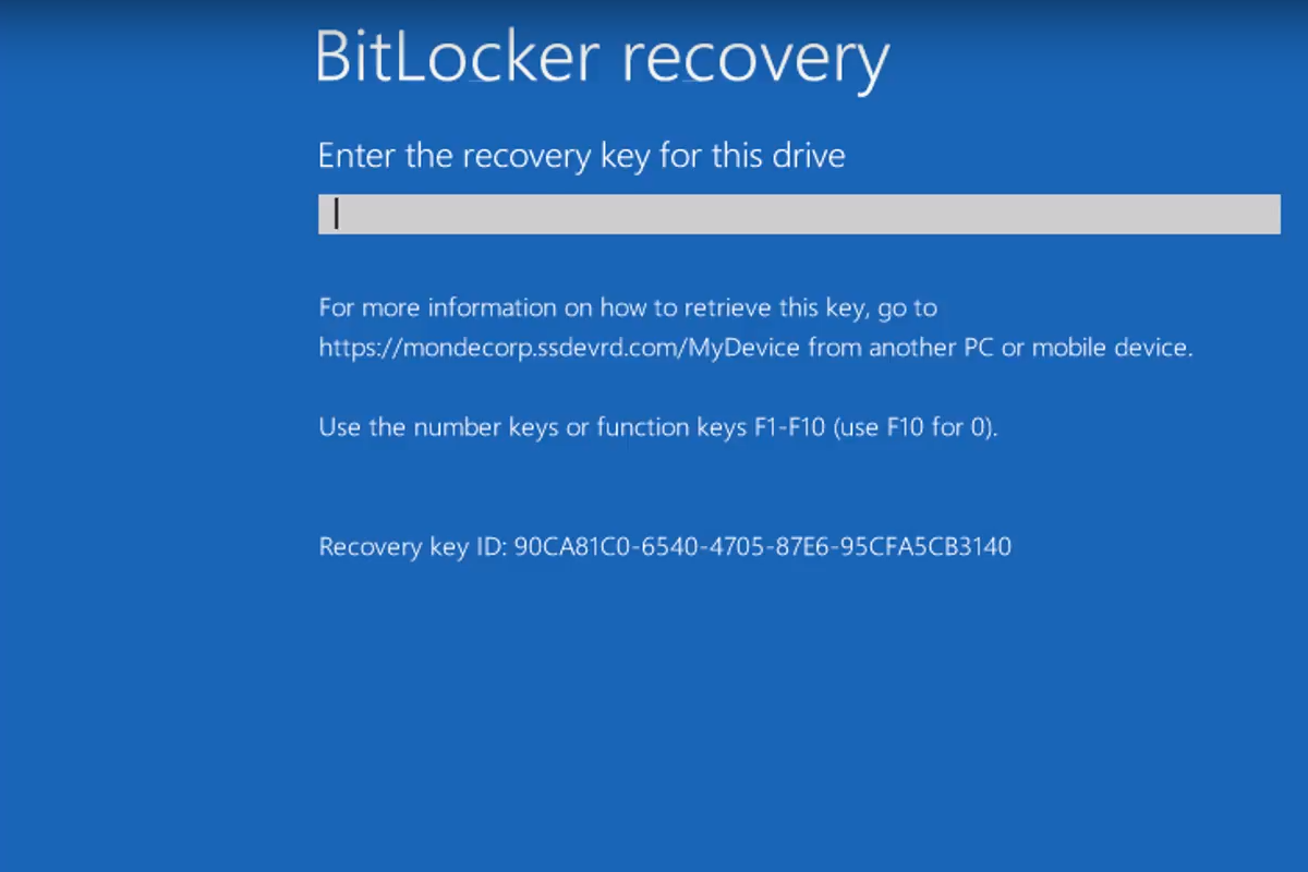 supprimer Bitlocker sans mot de passe