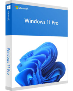 Windows_11_Pro_700x Acheter Microsoft Windows 11 Pro clé de produit officielle pas cher