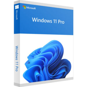 Acheter Microsoft Windows 11 Pro clé de produit officielle pas cher